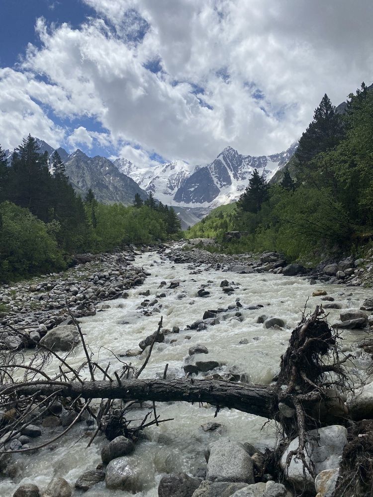 Photograph by Алиса Лукина