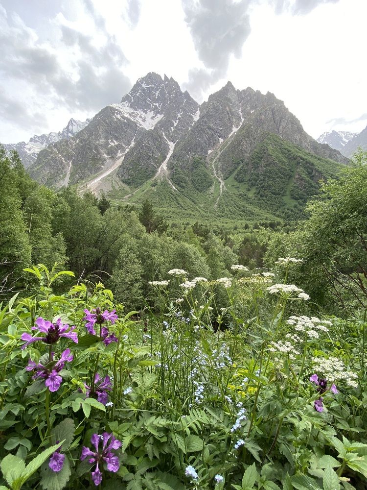 Photograph by Алиса Лукина