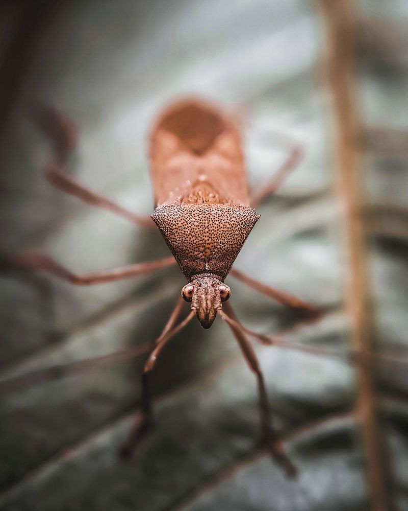 Photograph by Aaron R S