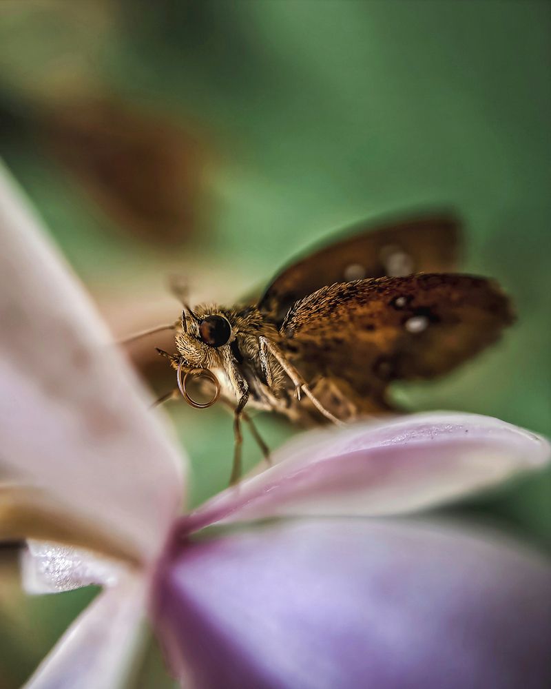 Photograph by Aaron R S