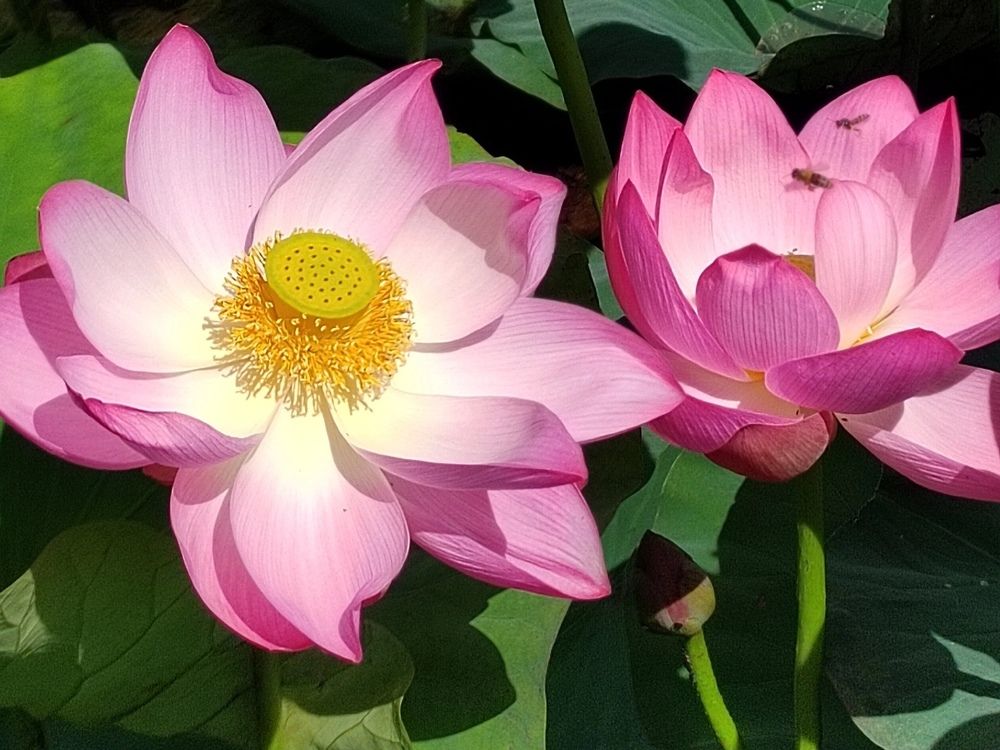 Photograph by Куделенко Оксана