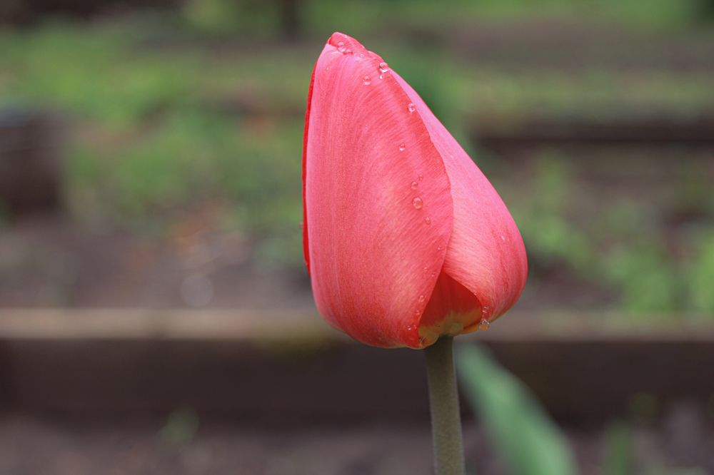 Photograph by Кристина Полякова