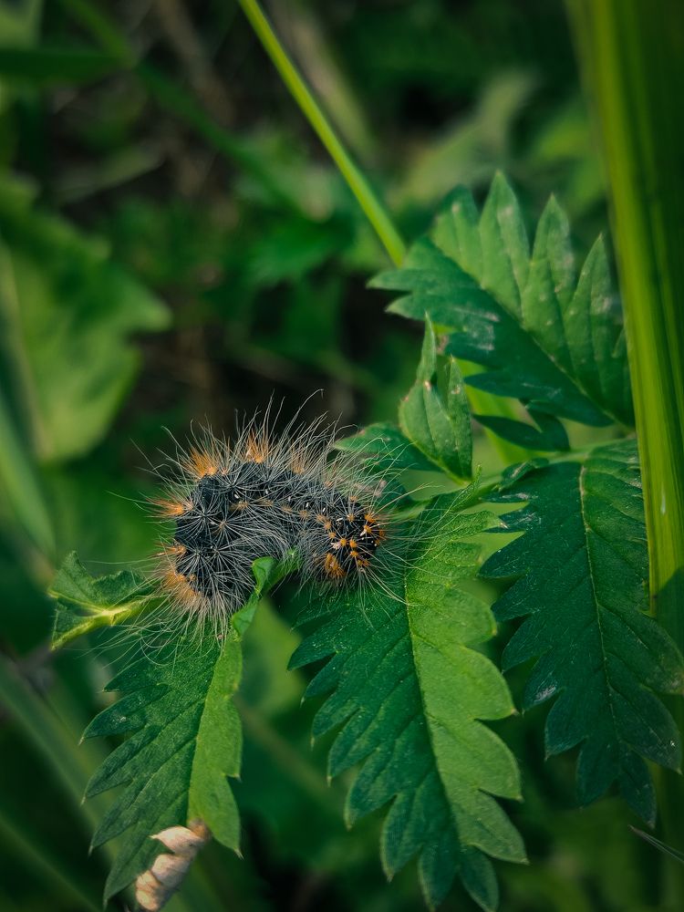 Photograph by Кристина Полякова