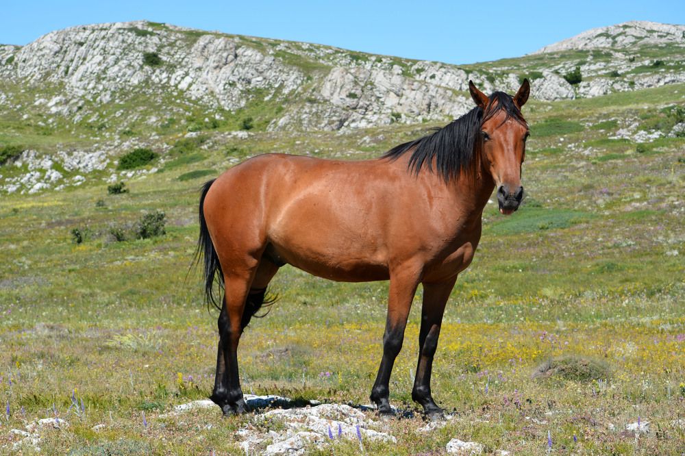 Photograph by Екатерина Крючкова