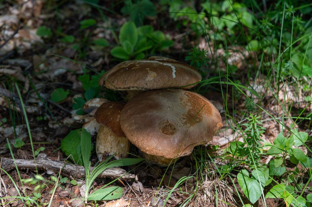 Photograph by Екатерина Крючкова