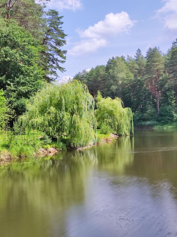 Фотография автора Рузинова Елена