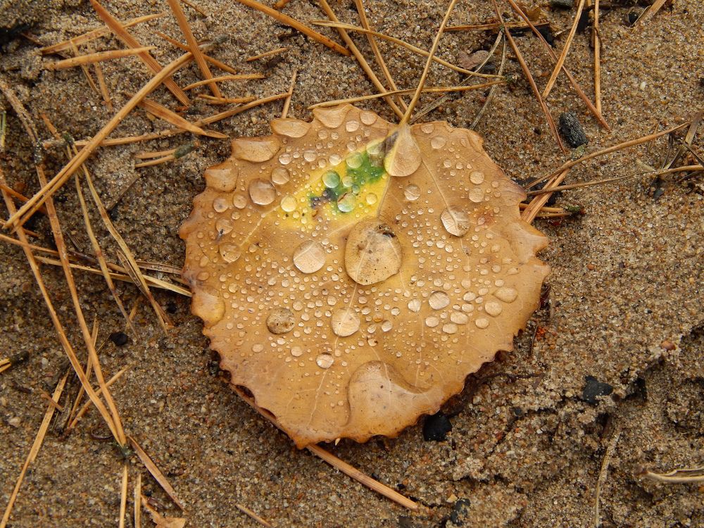 Photograph by Карина Заводчикова