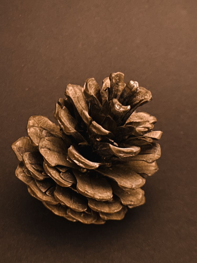 Photograph by Nadezda Yablokova