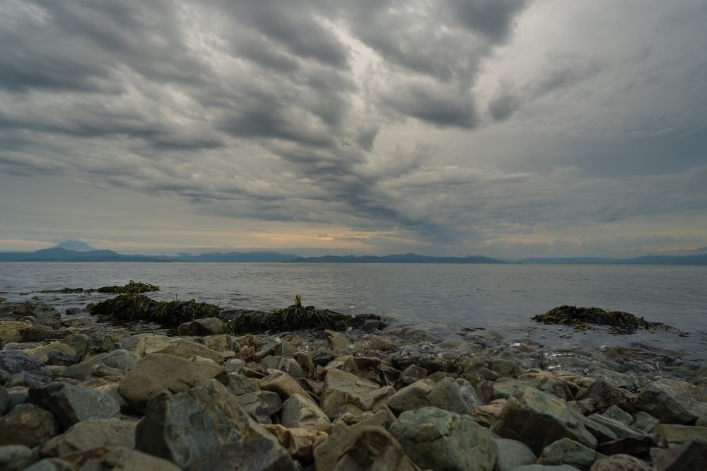 Photograph by Наталья Королева