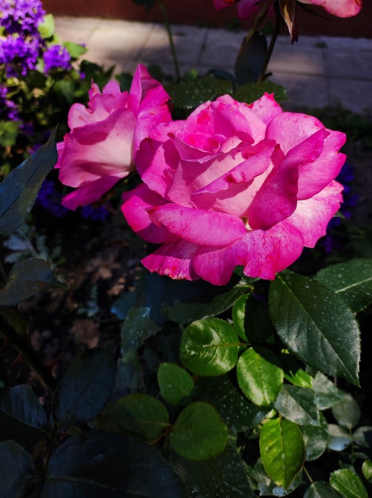 Фотография автора Рузинова Елена