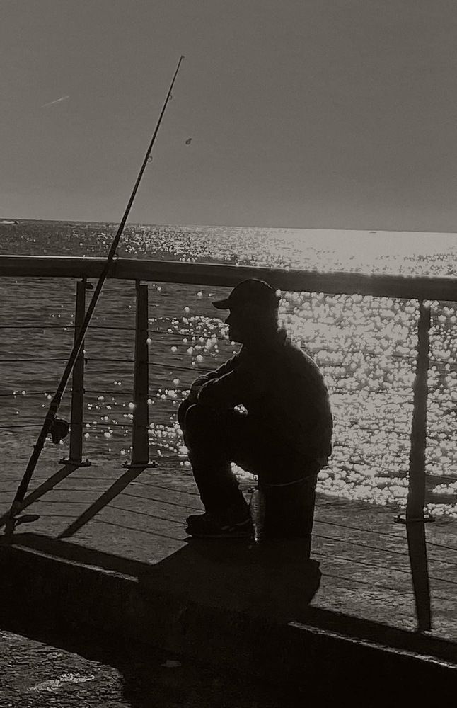 The sea wolf