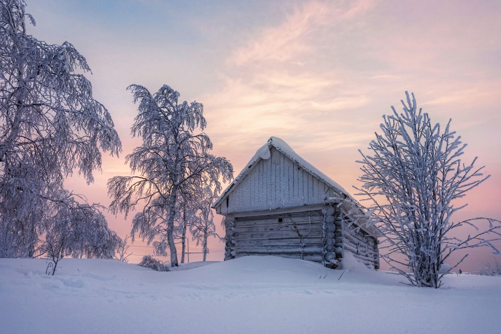 Photograph by Соколова Елена