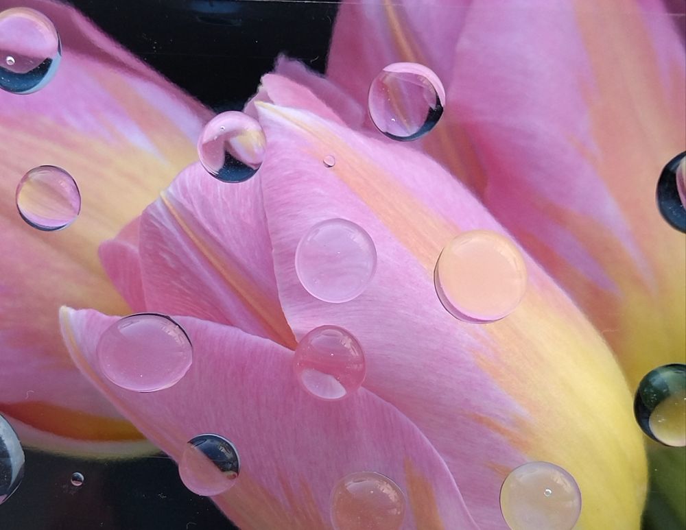 Фотография автора Рузинова Елена