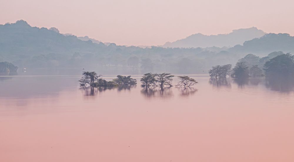 Photograph by Анатолий Асеев