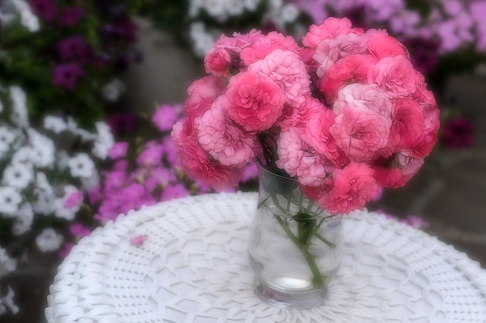 Photograph by Александр Стрельченко