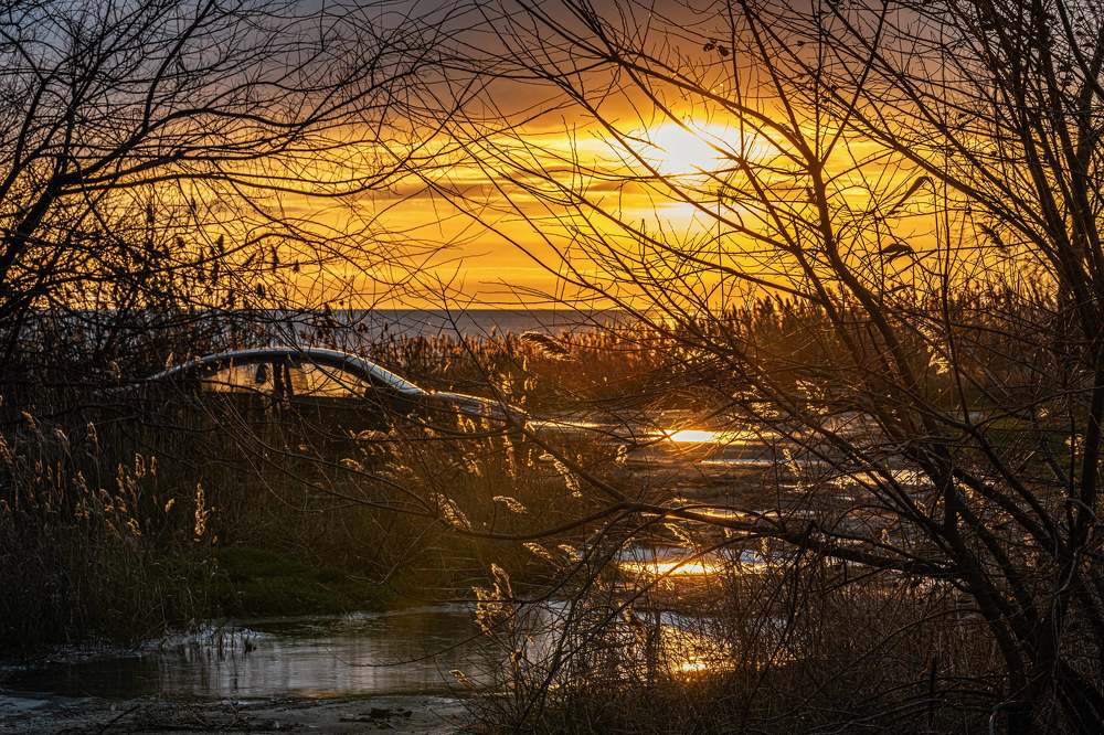 У меня, там, машина в кустах!