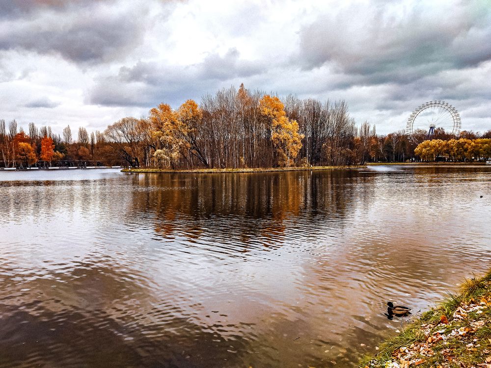 Фотография автора Нина Зинченко
