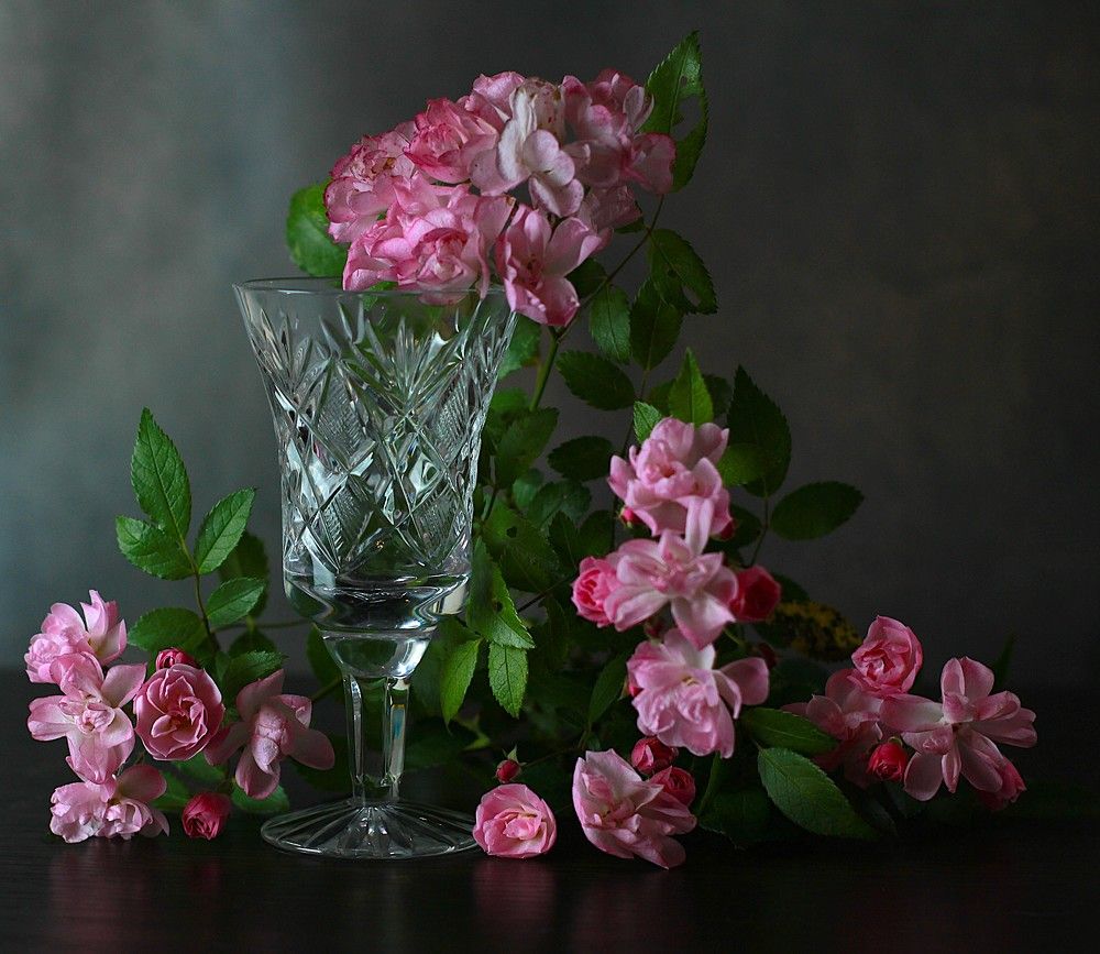 Photograph by Елена Карпухно