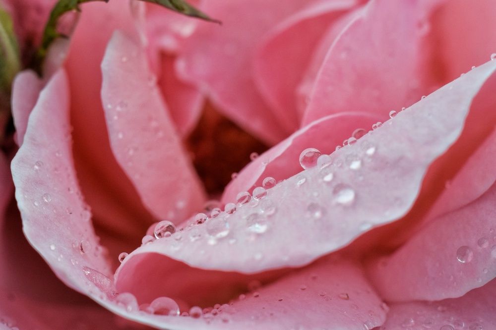 Photograph by Ирина Лучинская