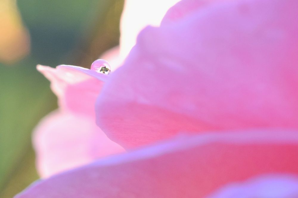 Photograph by Ирина Лучинская