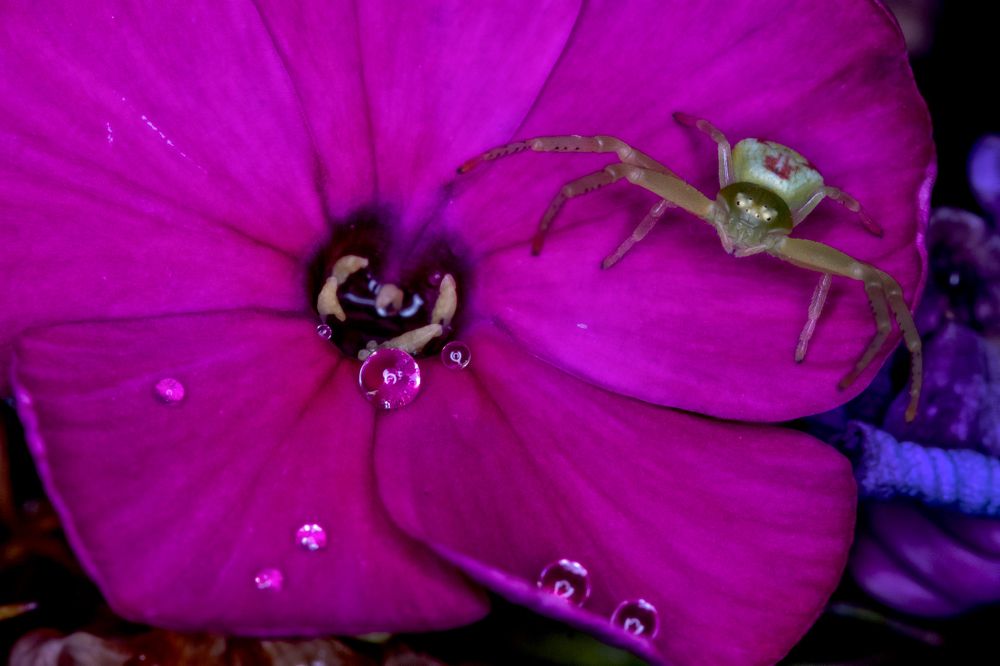 Photograph by Александр Стрельченко