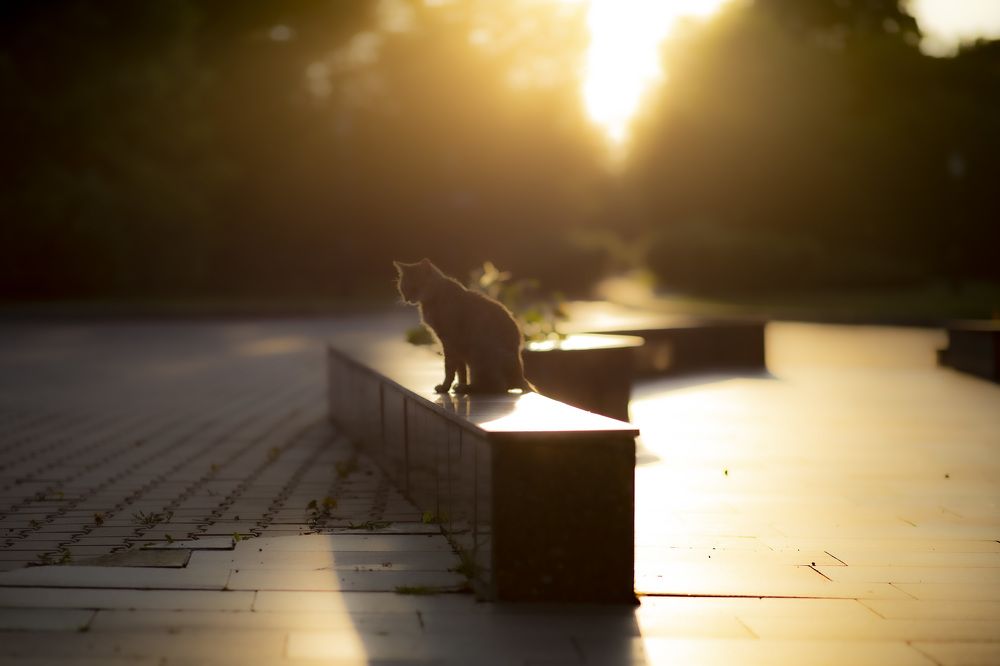 Photograph by Максим Мураков