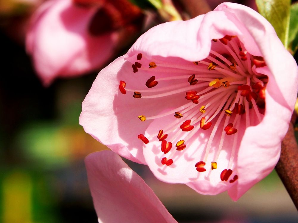 Photograph by Abdolreza Aleagha