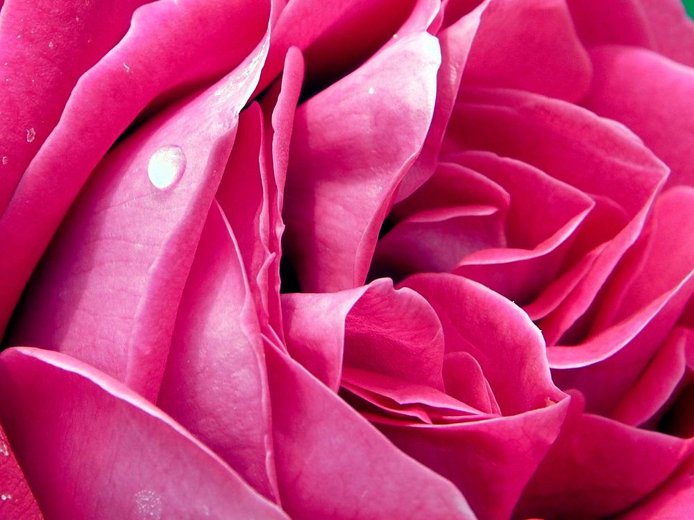 Photograph by Abdolreza Aleagha