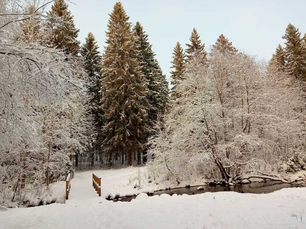 Photograph by Kseniya Pirogova