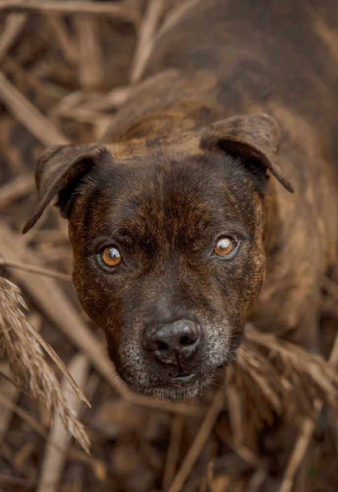 Photograph by Марина Суздаль