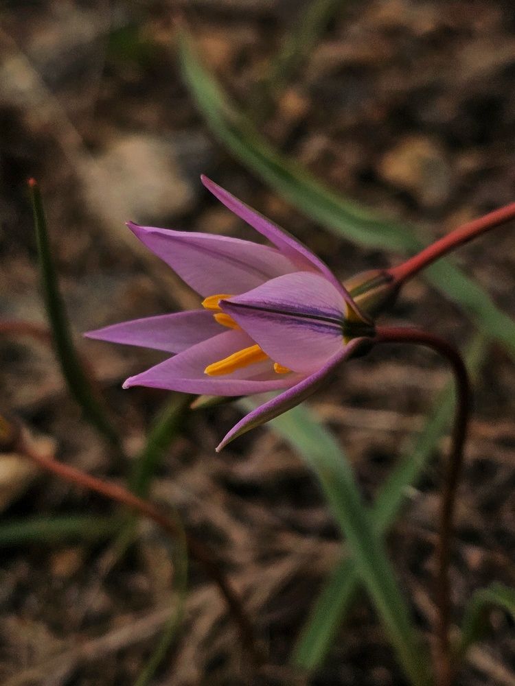 Photograph by Ольга Веселова