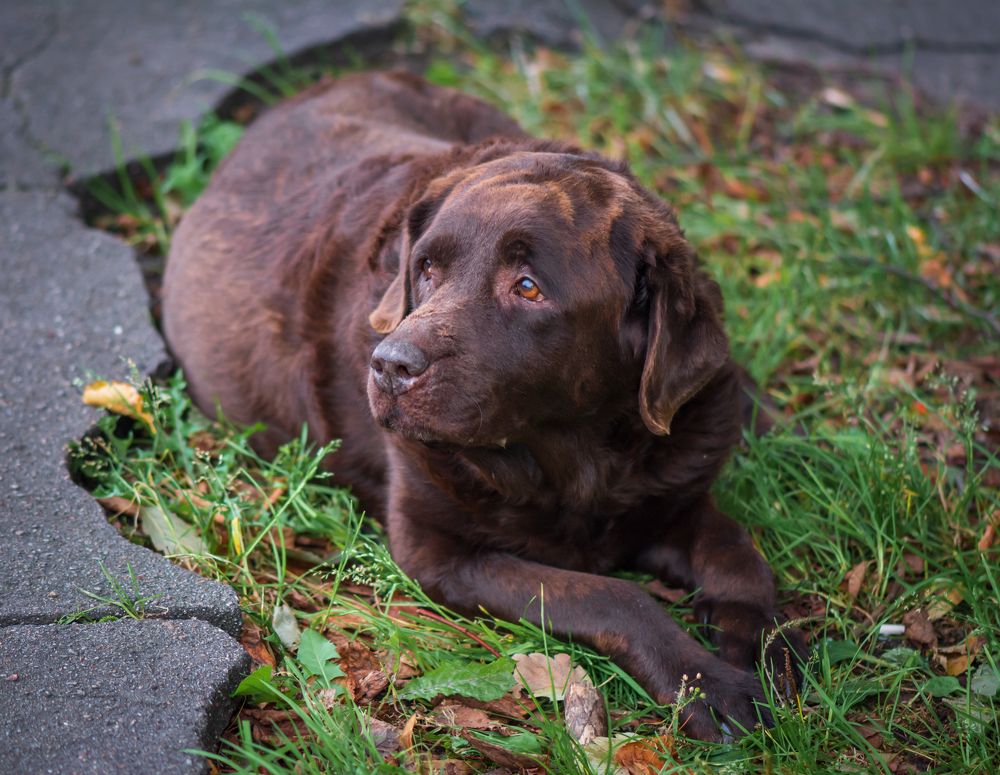 Photograph by Agita Leimane