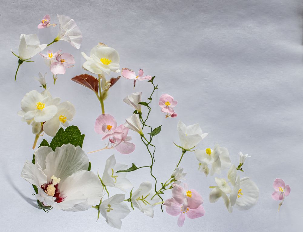 Photograph by Éva Toldi