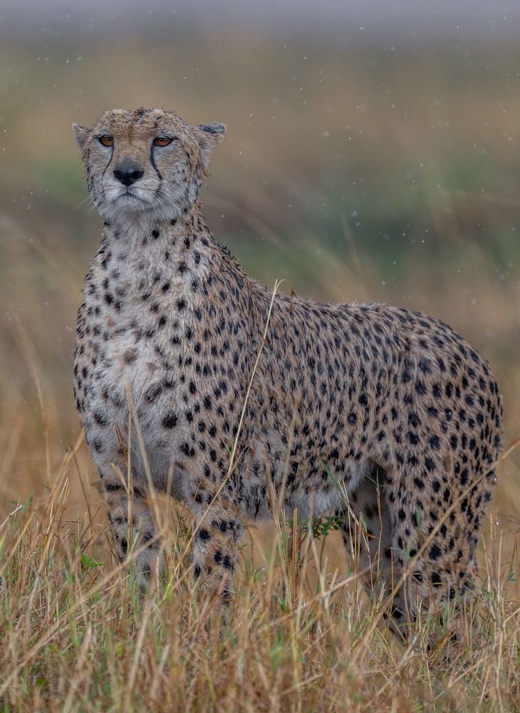 Photograph by Syed Ahmar Amjad