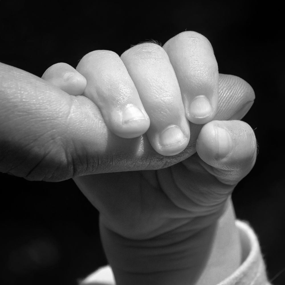 Photograph by Константин Пухов