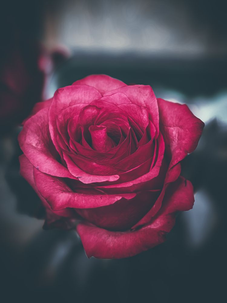 Photograph by Наташа Черепенина