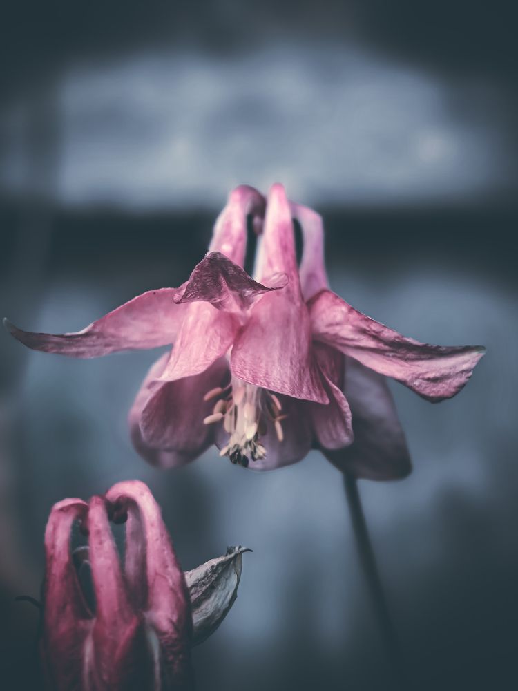 Photograph by Наташа Черепенина