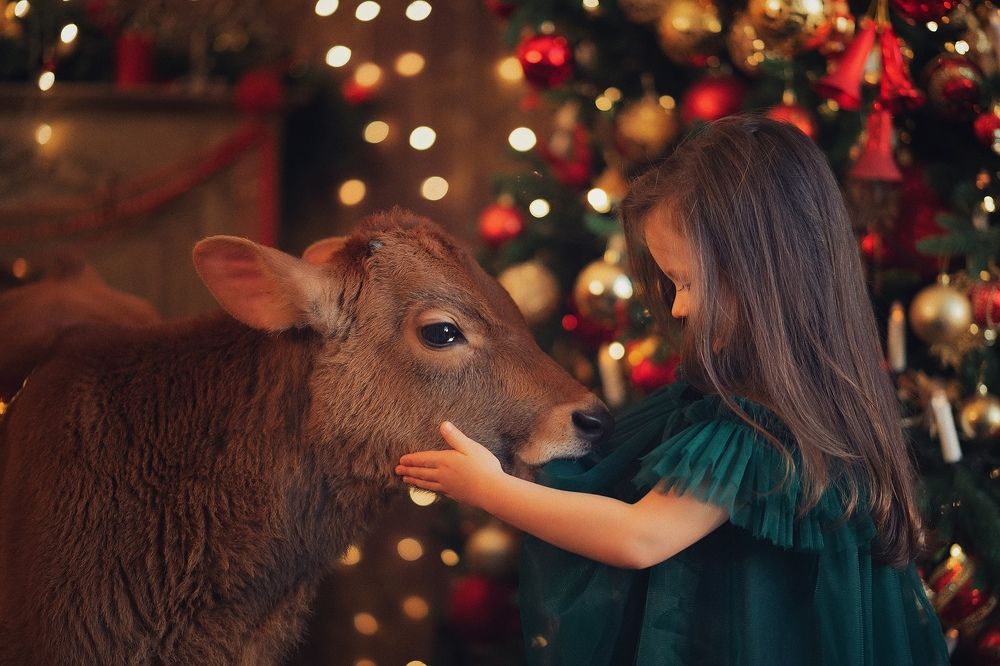 Photograph by Oxana Denina