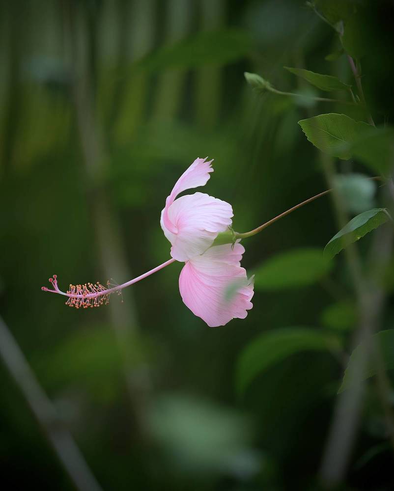 Photograph by Искандар Газизов