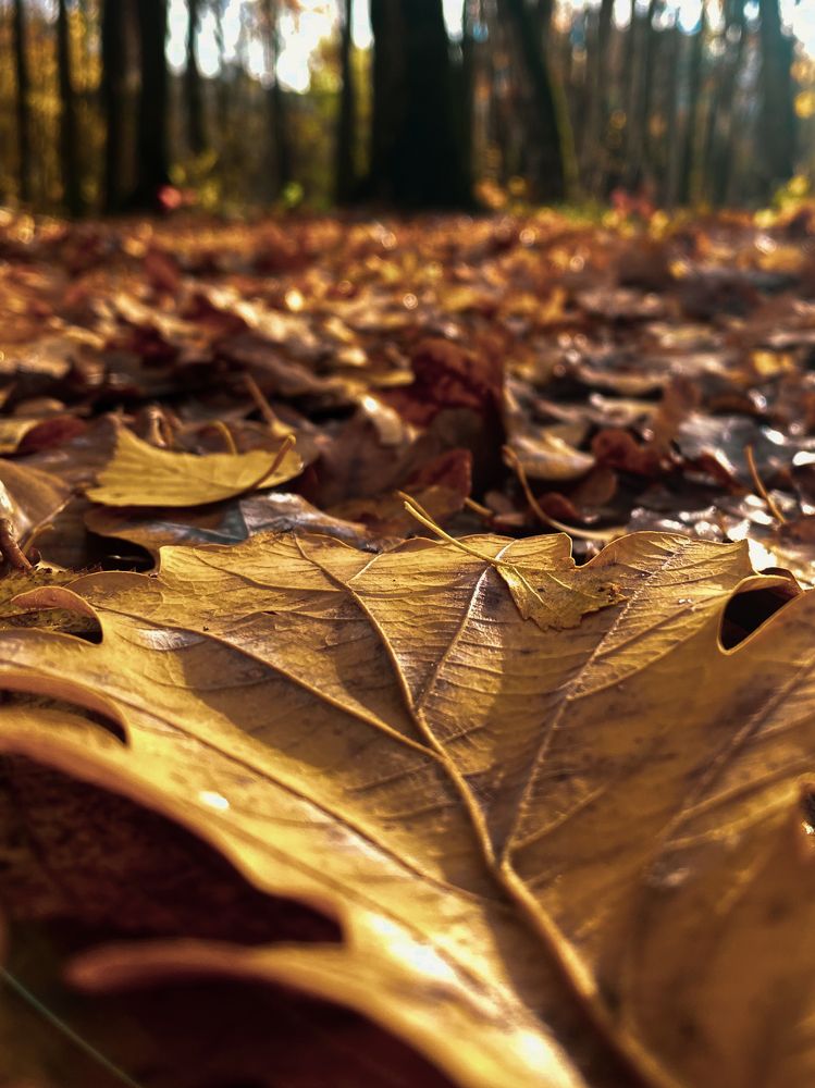 Photograph by Наталия Любчикова