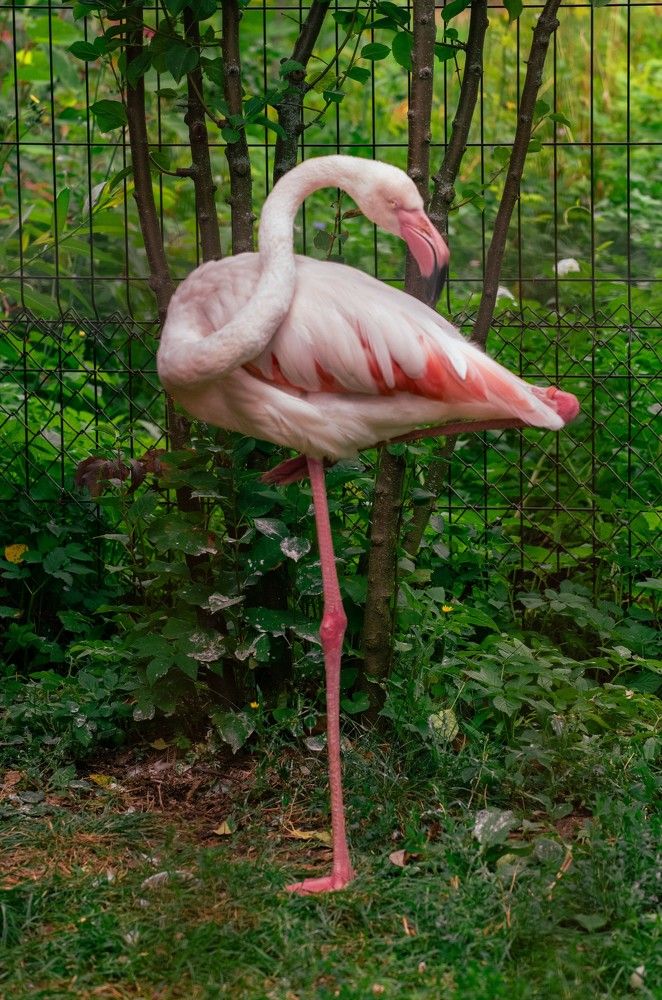 Photograph by Ксения Шилина