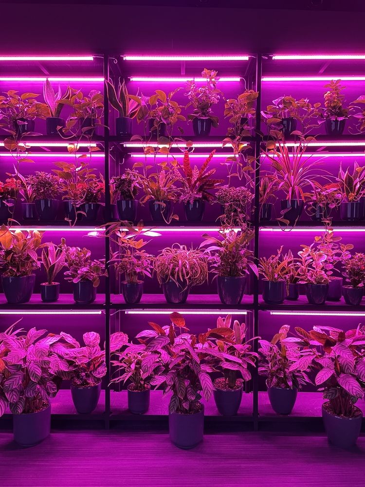 Photograph by Sergei Komlev