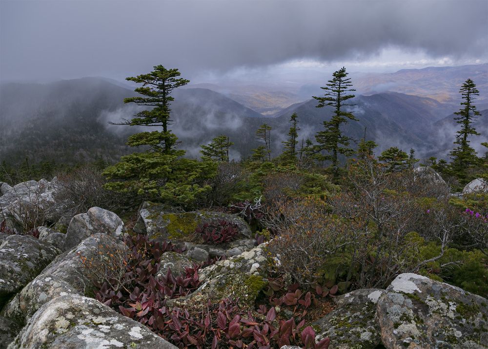 Photograph by ALEKSANDR KUZNETSOV