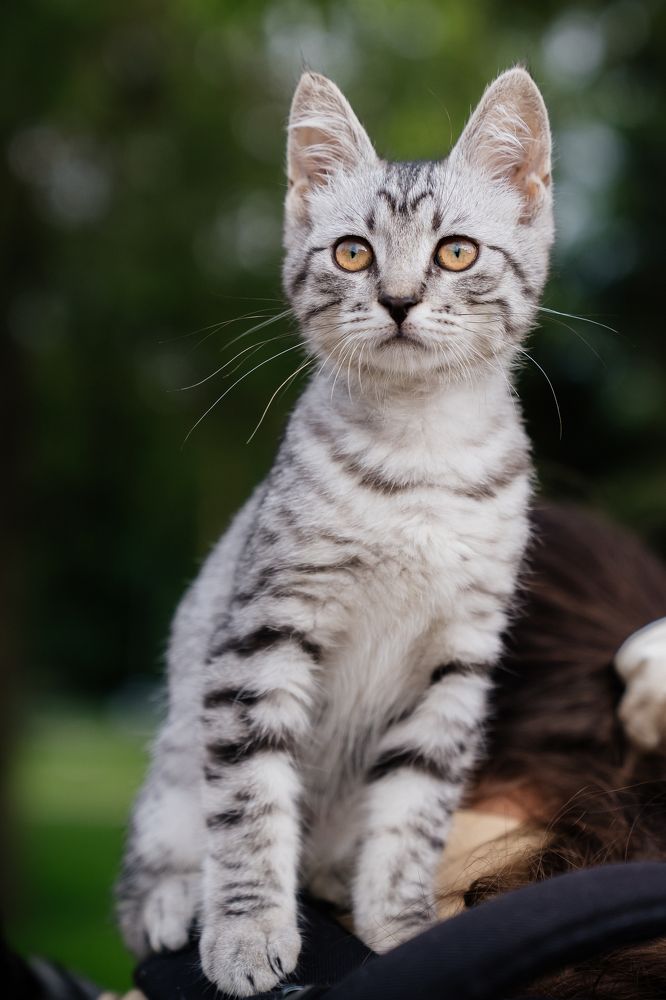 Photograph by Натали Захарова (Тай)