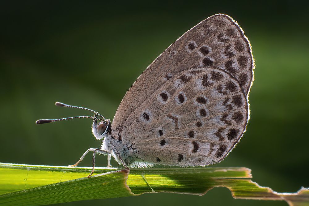 Photograph by Li Chen-You