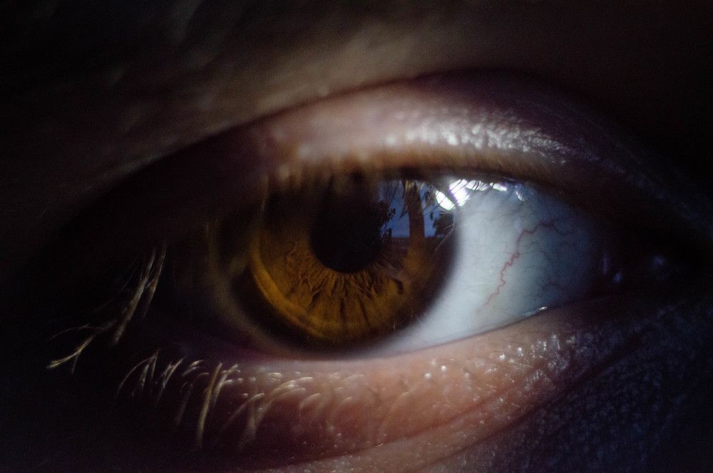 Фотография автора Мария Михайлова