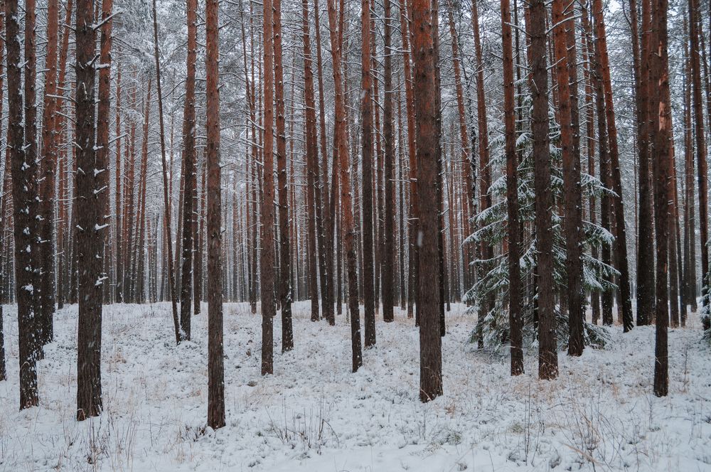 Фотография автора Мария Михайлова