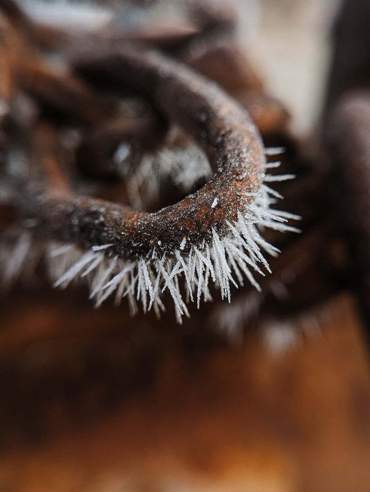 Фотография автора Мария Михайлова