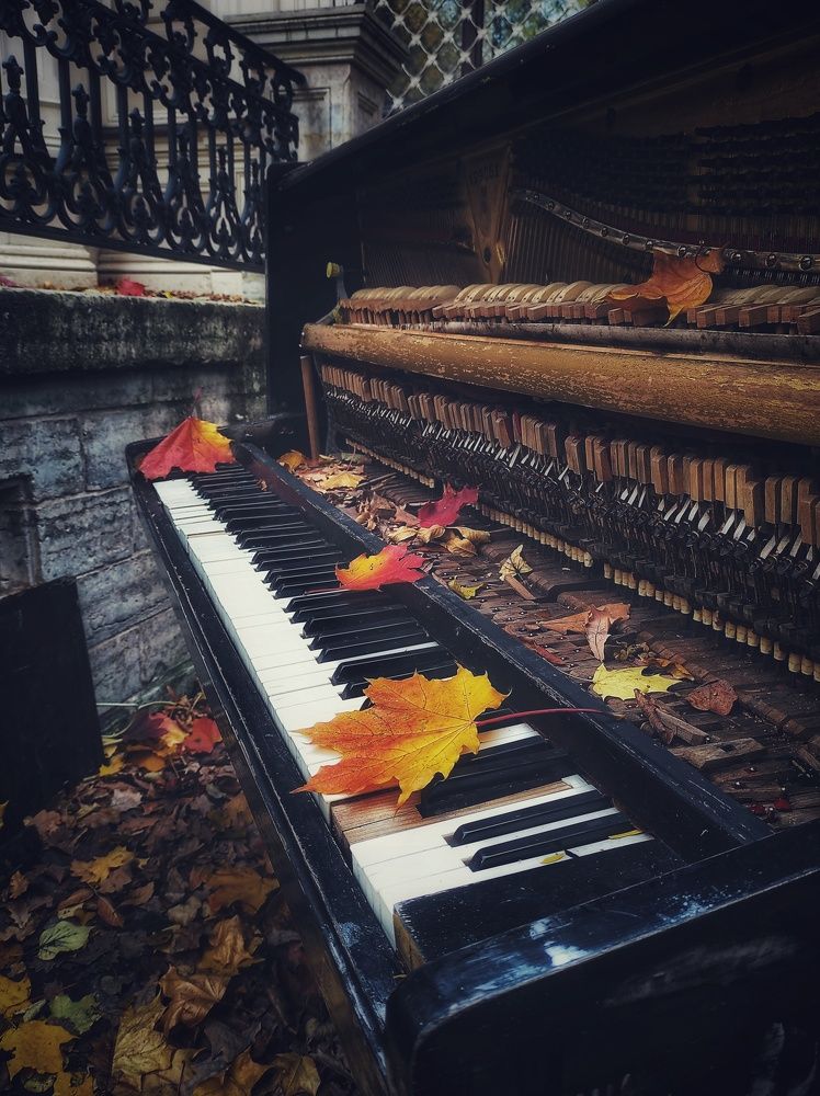 Photograph by Вячеслав Щёголев