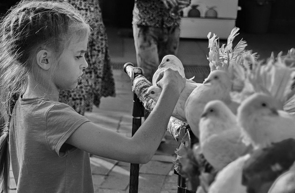 Девочка и голуби